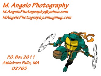 Alt= photography logo with ninja turtle
